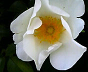 DVC00002.JPG