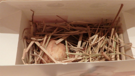 20150313 (22).jpg