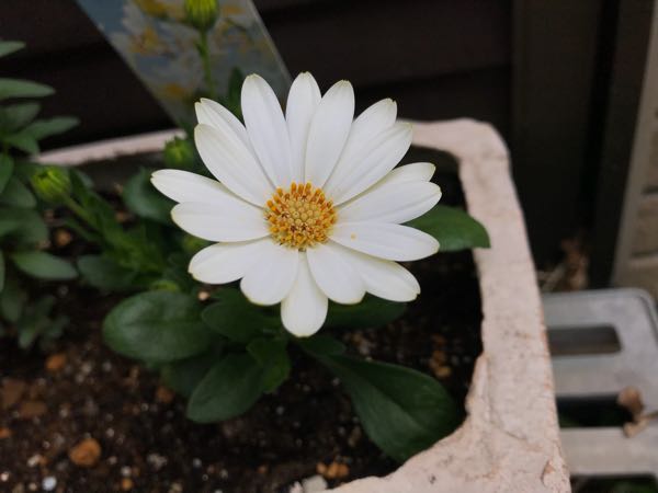 rblog-20180430122502-09.jpg