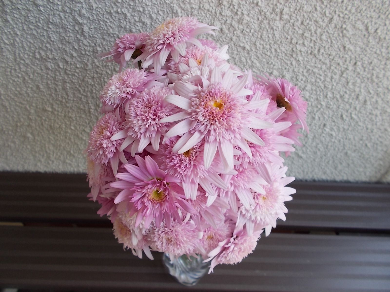 芝桜とマーガレットを切り戻しました バラを咲かせることが好き 楽天ブログ