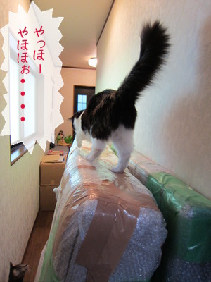 20121213125205_w_300_h_400_5117711.jpg