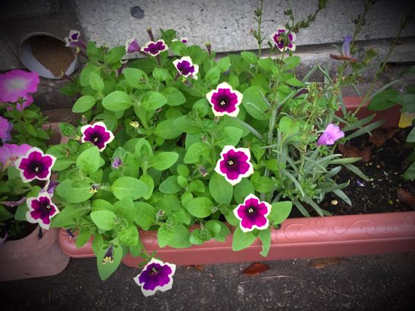 rblog-20160627195701-08.jpg