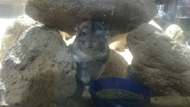 2015-06-12 19.05.36.jpg