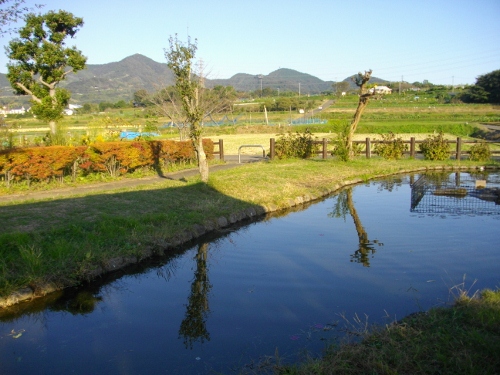 波多野城 (8) (500x375).jpg