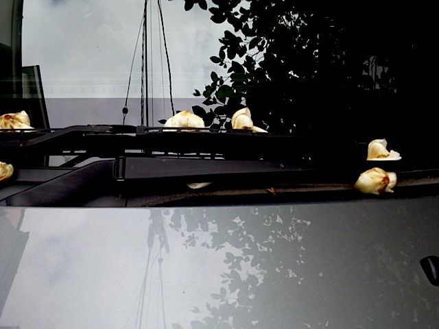120613_132703.jpg