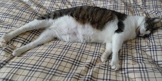 P1020787-ass.jpg