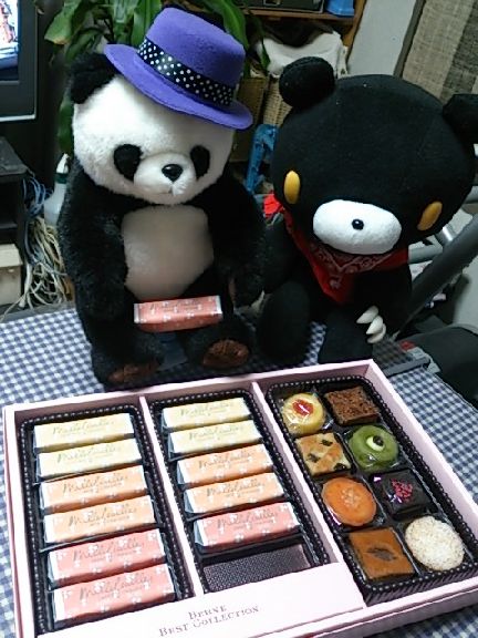 パンダさんが～