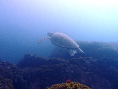 PB210941.JPG