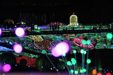 画像 080.jpg