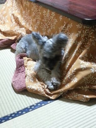 rblog-20141105223556-01.jpg