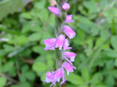 DSCF1014.jpg
