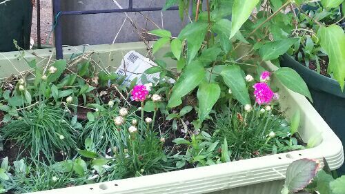 rblog-20180409232254-03.jpg