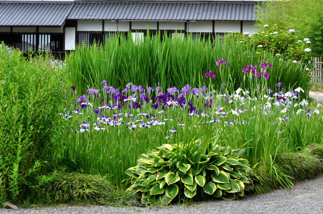 花５