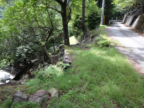 DSC06272.JPG
