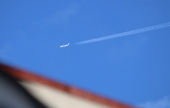 IMG_6009-18.jpg