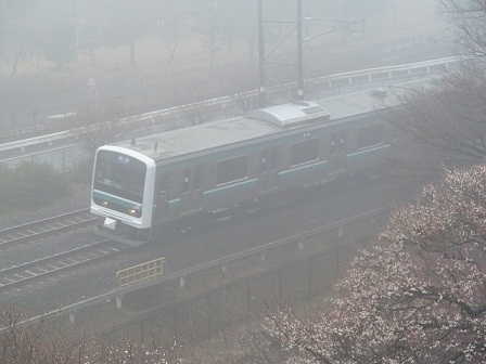 3月18日 048.JPG