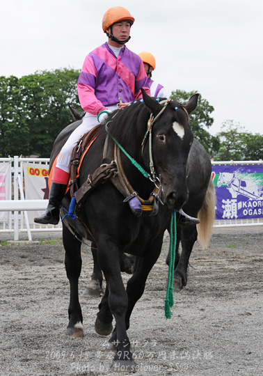 07MusashiSakura061509Ob9R_02