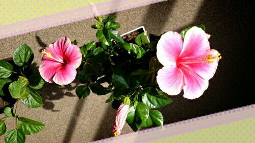 rblog-20161021172454-02.jpg
