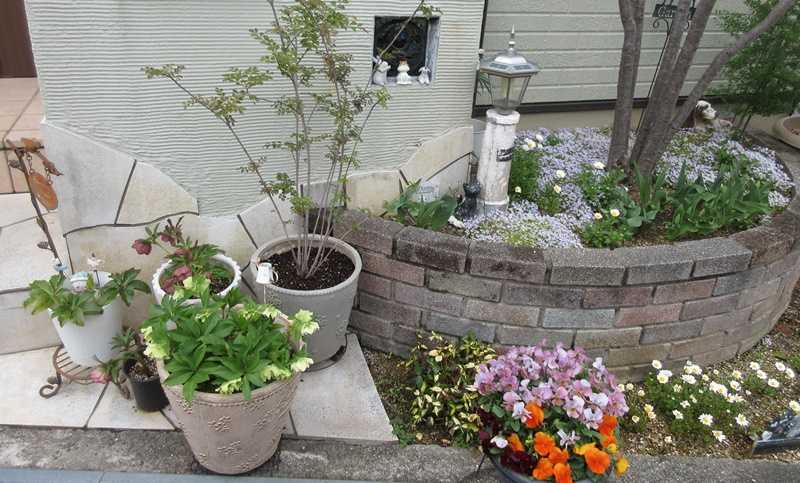 玄関横の素敵な花壇を見つけた 雨の中植え替え 狭い庭を花いっぱいにする育て方 楽天ブログ