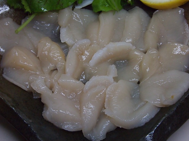 P1090012.jpg