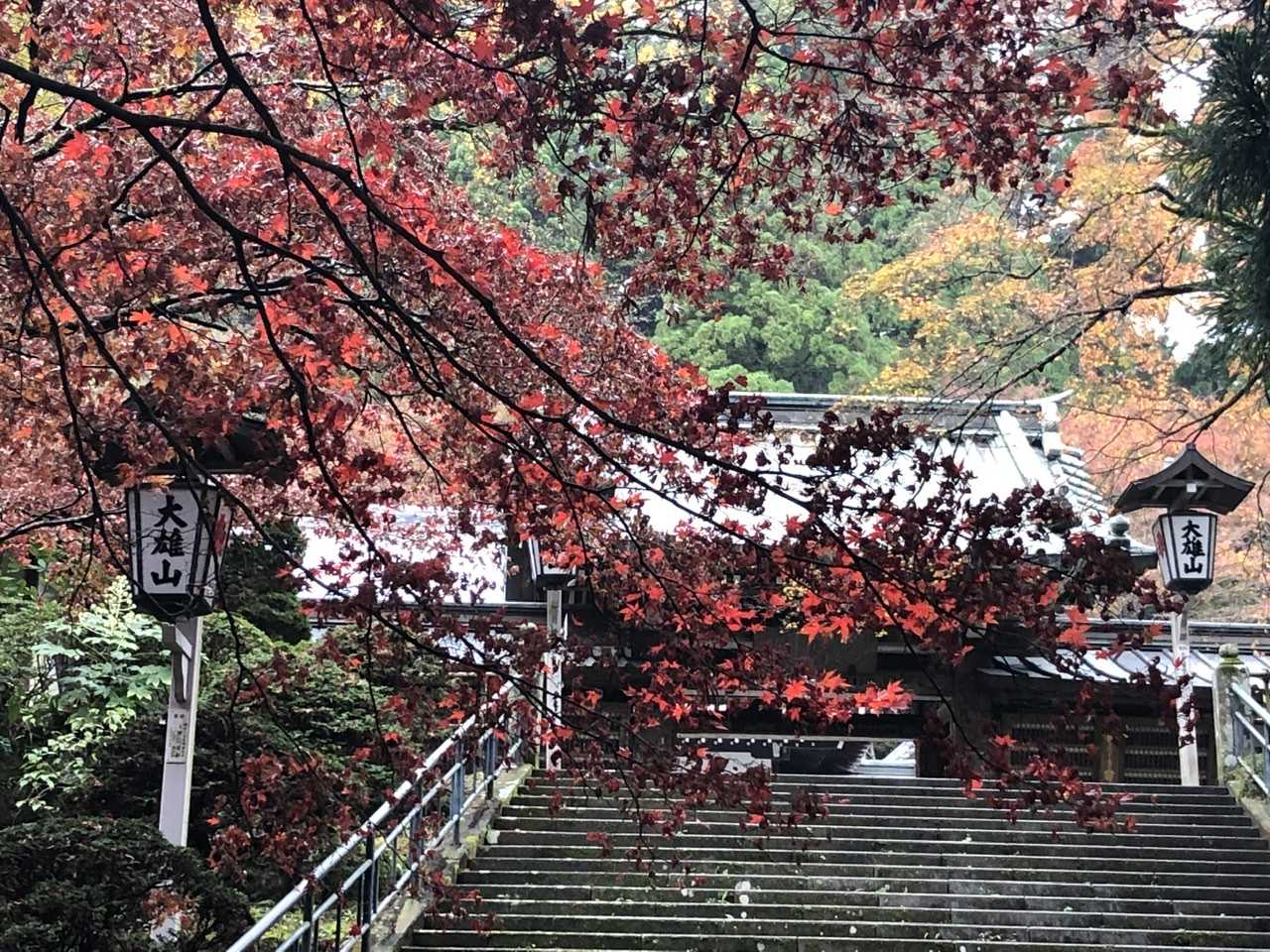 旅先スケッチ 大雄山最乗寺の紅葉です 神奈川県南足柄市 みゃあみゃあのトーク トーク 楽天ブログ