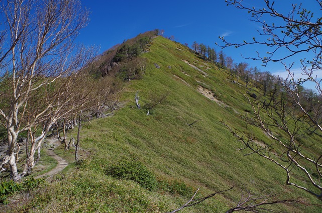 IMGP1455.JPG