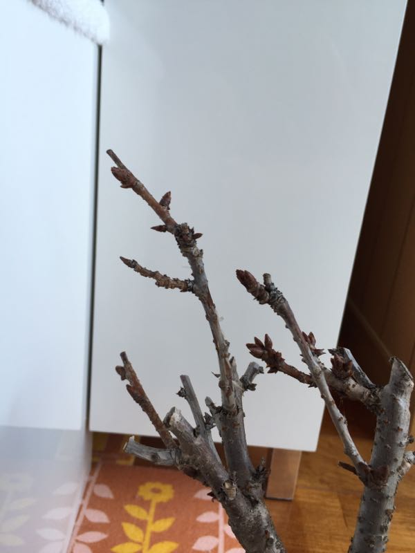 rblog-20161123212939-02.jpg