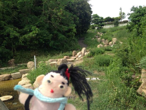 rblog-20180822121026-02.jpg