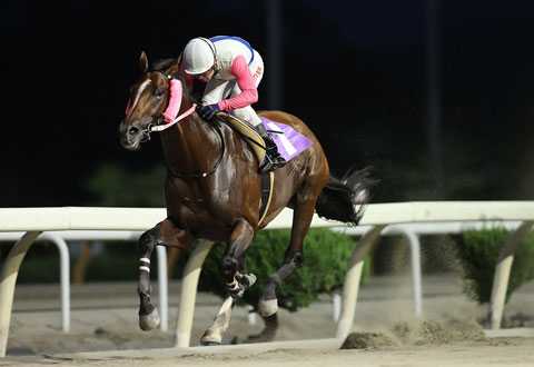 菅原勲元騎手直筆サイン 菅原勲元騎手直筆サイン