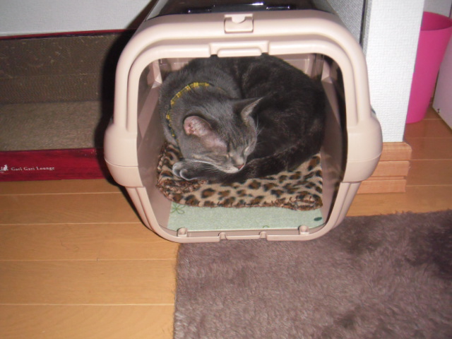 2016_03020034.JPG