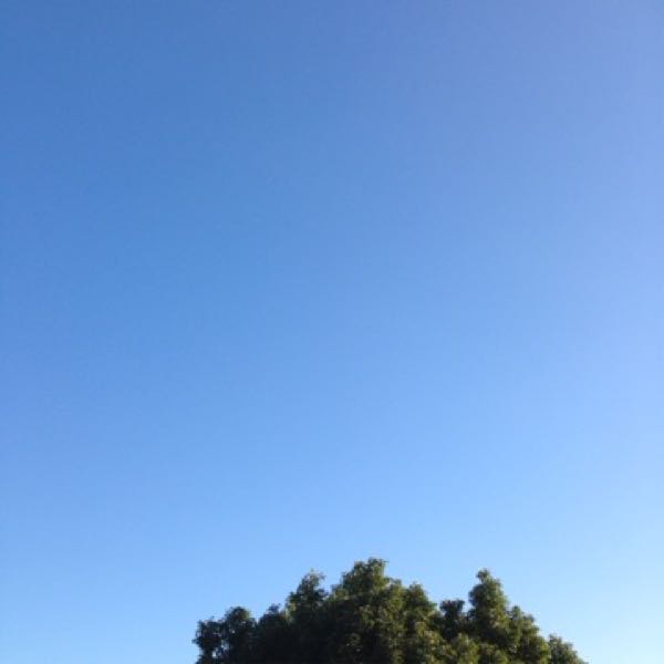 rblog-20141111085843-03.jpg
