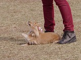 20121104132123[1].jpg