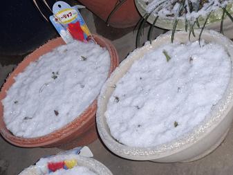雪２.JPG