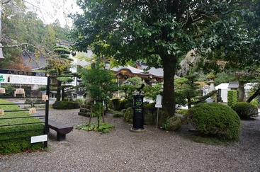 DSC01696.JPG