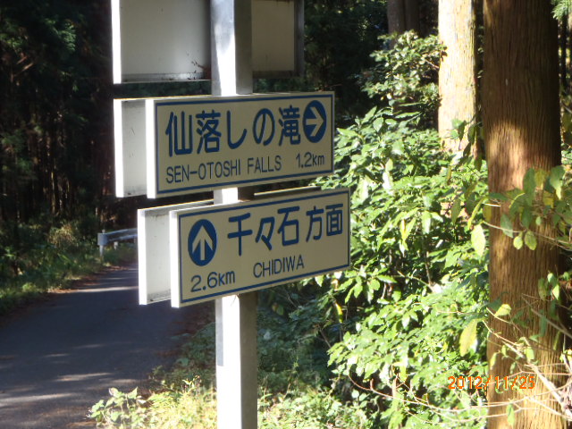 PB250064.JPG