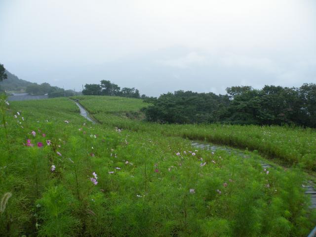 四国真ん中辺2016 (3).JPG