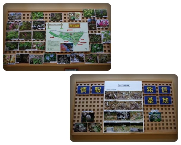 吉岡園地-4 15.4.22