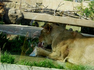 20120428(44).jpg
