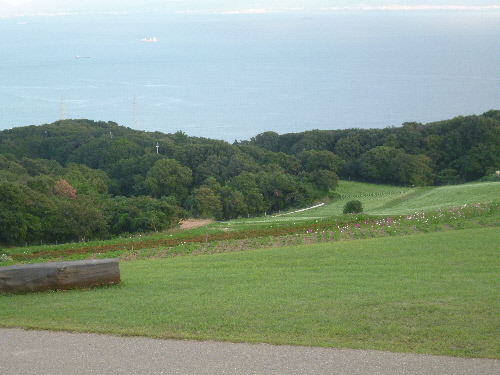 P1130192(1).JPG