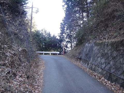 DSC07511.JPG