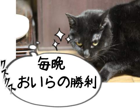IMG_0212.png