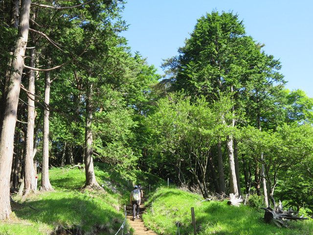 丹沢登山（1）渋沢駅→塔ノ岳山頂 | 星とカワセミ好きのブログ - 楽天ブログ