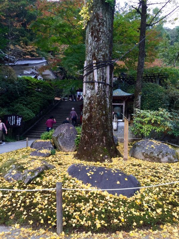 rblog-20151122002127-03.jpg