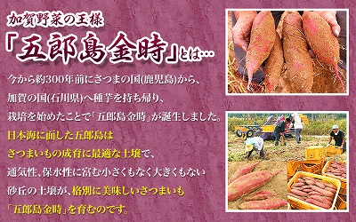 スイートポテト　芋説明.jpg