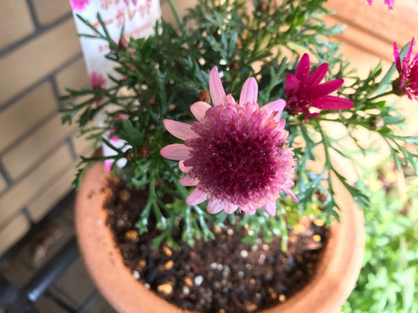 rblog-20190401164419-00.jpg