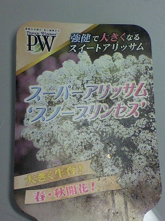 2013011612250000.jpg