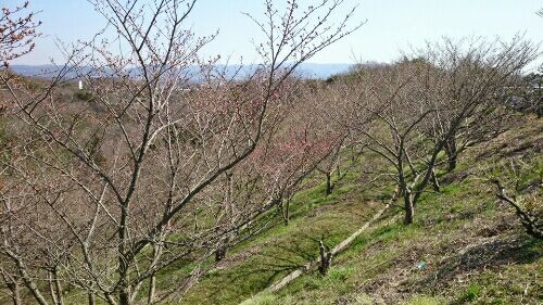 rblog-20160322223815-01.jpg