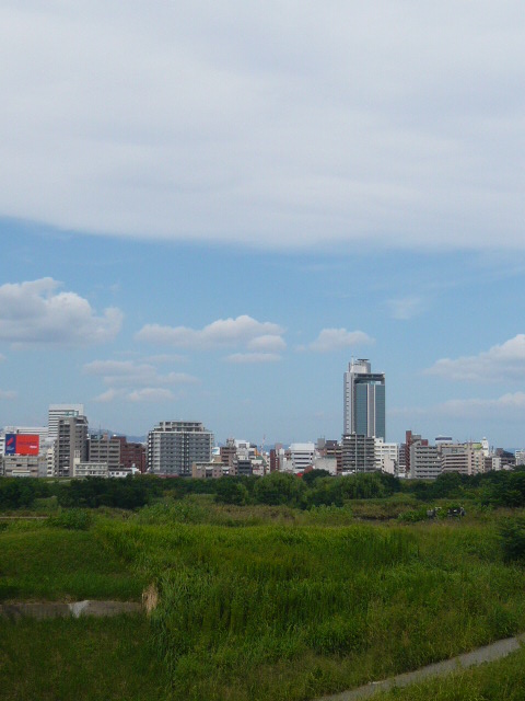 南方方面