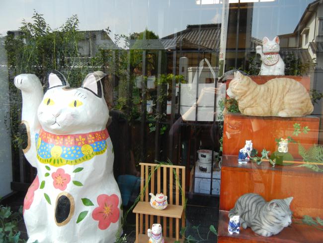 DSCN7399.JPG