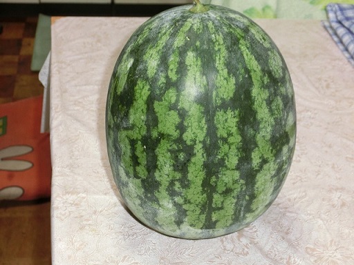 CIMG0261.jpg